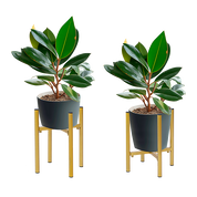 Metal Plant Stand Adjustable Indoor