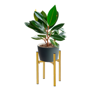 Metal Plant Stand Adjustable Indoor