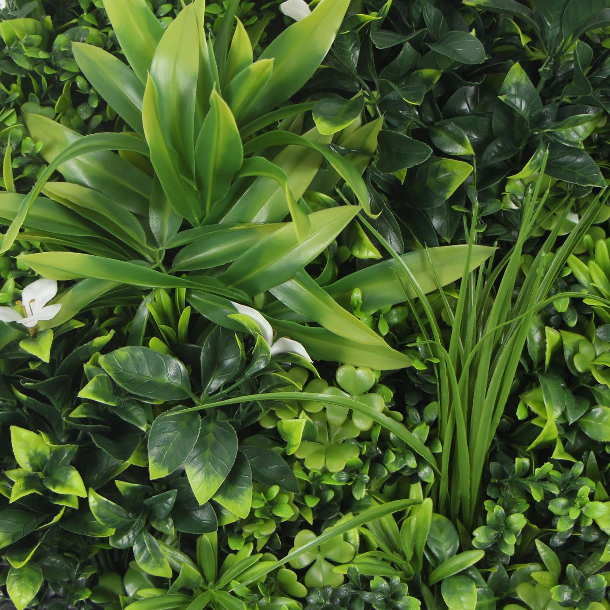 artificial_green_wall_disc_foliage.jpg