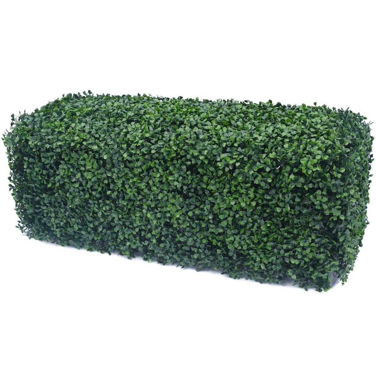 boxwood_portbale_hedge_100cm_long_8.jpg