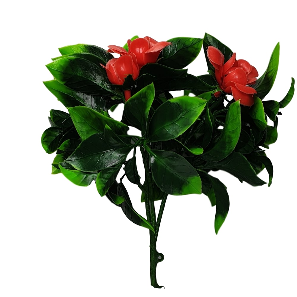 flowering_red_rose_stem_1_1_3.jpg