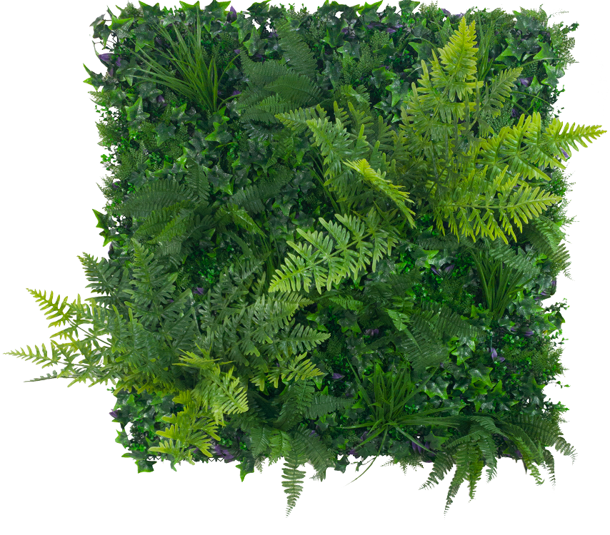 jungle_fern_resized_3.png